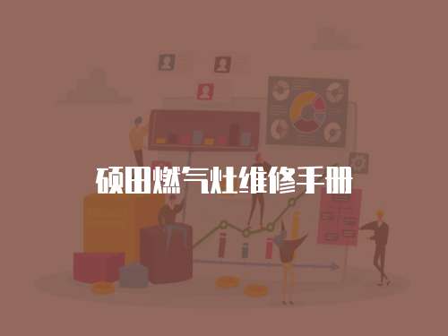 碩田燃?xì)庠罹S修手冊