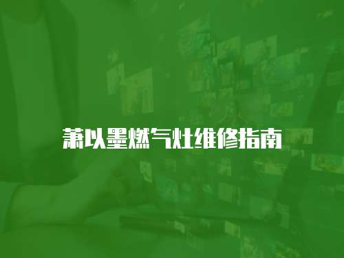 蕭以墨燃氣灶維修指南