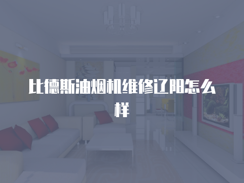 比德斯油煙機維修遼陽怎么樣