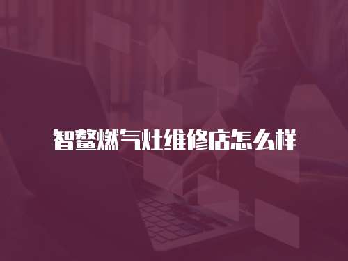 智鰲燃氣灶維修店怎么樣