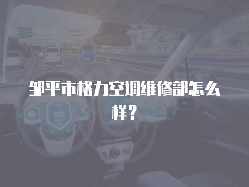 鄒平市格力空調維修部怎么樣？