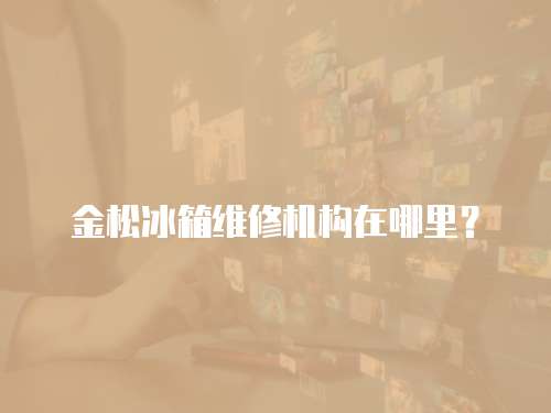 金松冰箱維修機構(gòu)在哪里？