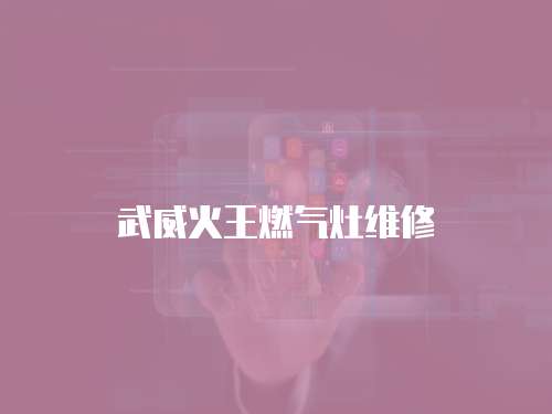 武威火王燃氣灶維修