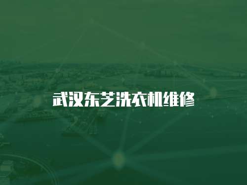 武漢東芝洗衣機維修