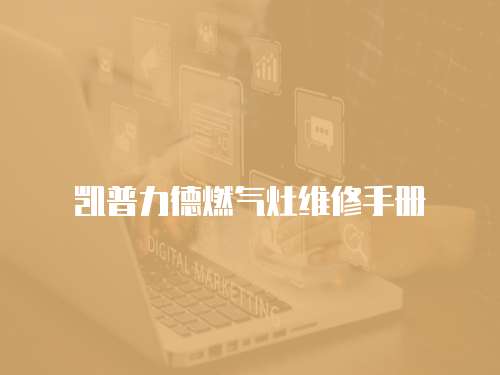 凱普力德燃?xì)庠罹S修手冊(cè)