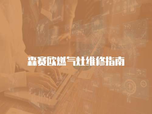 森賽歐燃氣灶維修指南