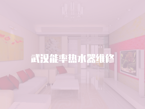 武漢能率熱水器維修
