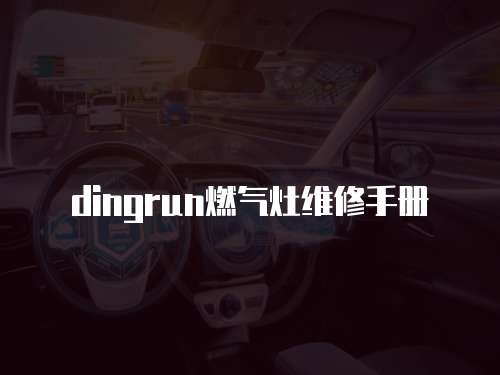 dingrun燃?xì)庠罹S修手冊(cè)