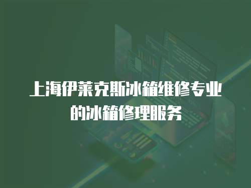 上海伊萊克斯冰箱維修專業的冰箱修理服務