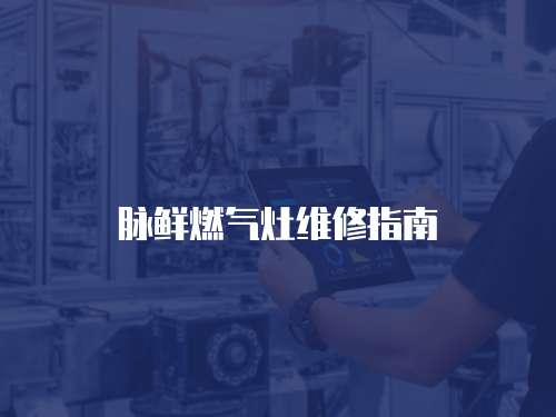 脈鮮燃氣灶維修指南