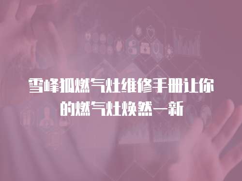 雪峰狐燃氣灶維修手冊讓你的燃氣灶煥然一新