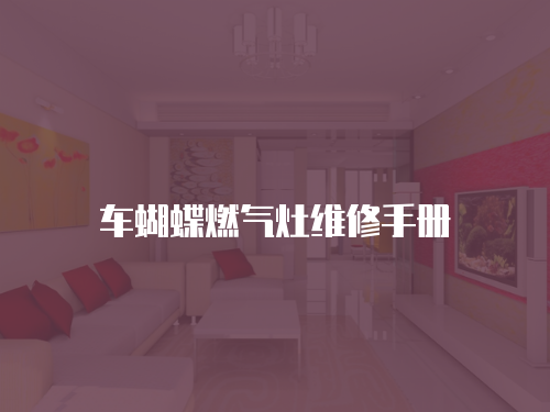 車蝴蝶燃?xì)庠罹S修手冊