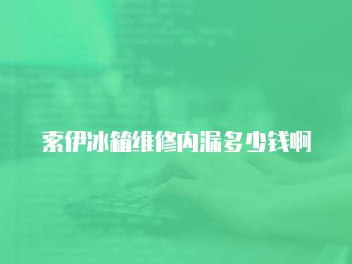 索伊冰箱維修內漏多少錢啊