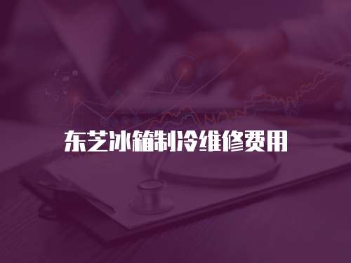 東芝冰箱制冷維修費用