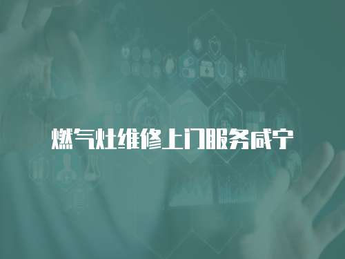 燃氣灶維修上門服務咸寧