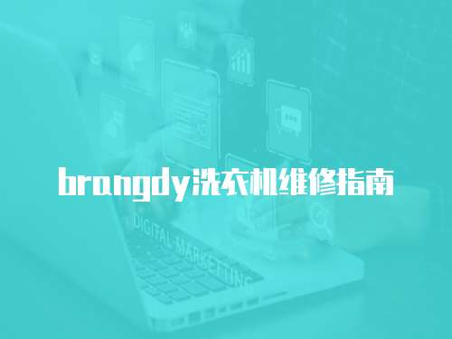 brangdy洗衣機(jī)維修指南