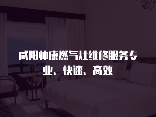 咸陽帥康燃氣灶維修服務專業、快速、高效