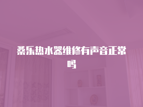 桑樂熱水器維修有聲音正常嗎