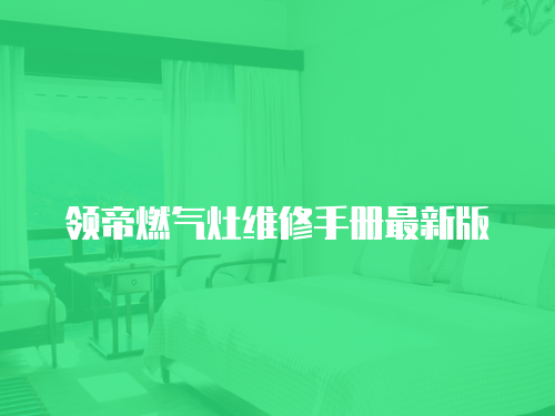 領帝燃氣灶維修手冊最新版
