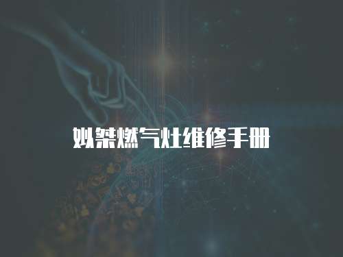 姒桀燃氣灶維修手冊