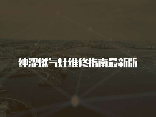 純澀燃氣灶維修指南最新版