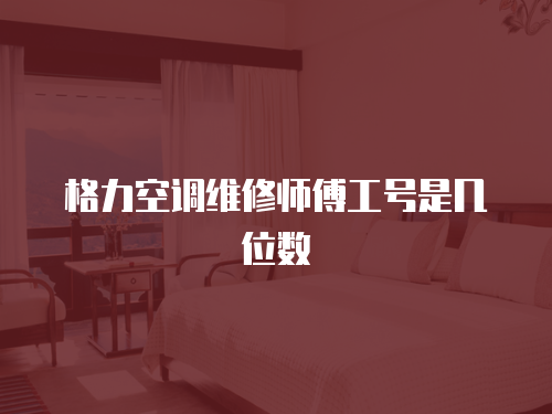 格力空調維修師傅工號是幾位數