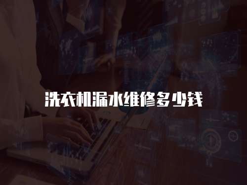 洗衣機(jī)漏水維修多少錢
