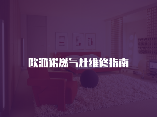 歐派諾燃氣灶維修指南