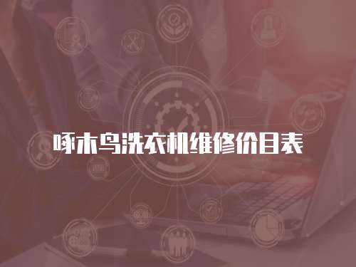 啄木鳥洗衣機維修價目表
