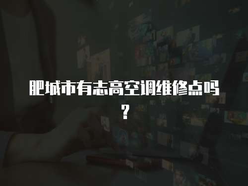 肥城市有志高空調維修點嗎？