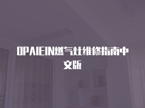 OPAIEIN燃?xì)庠罹S修指南中文版