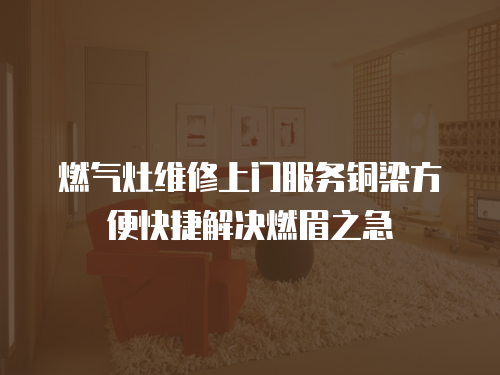 燃?xì)庠罹S修上門服務(wù)銅梁方便快捷解決燃眉之急