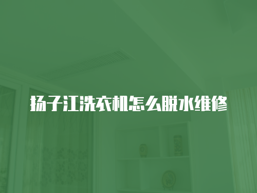 揚子江洗衣機怎么脫水維修