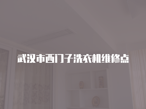 武漢市西門子洗衣機維修點