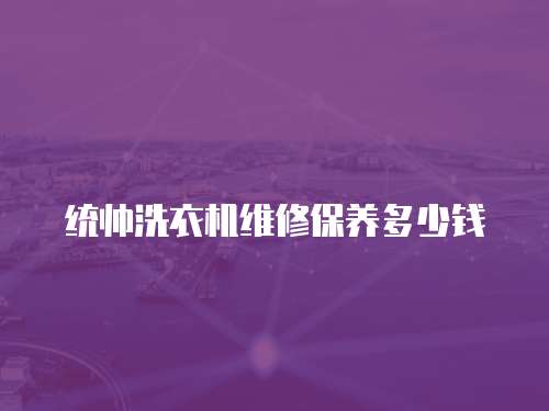 統帥洗衣機維修保養多少錢