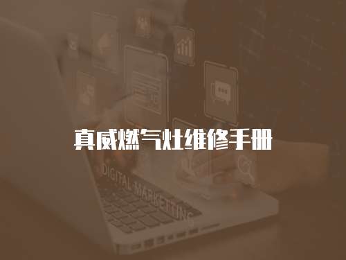 真威燃?xì)庠罹S修手冊(cè)