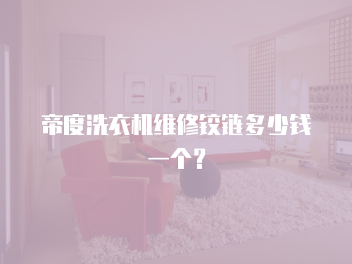 帝度洗衣機維修鉸鏈多少錢一個？