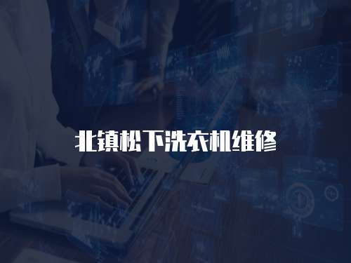 北鎮松下洗衣機維修