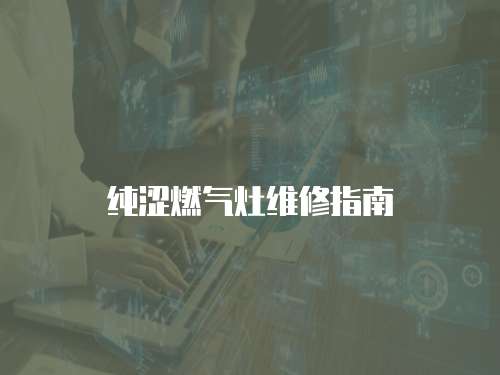 純澀燃?xì)庠罹S修指南