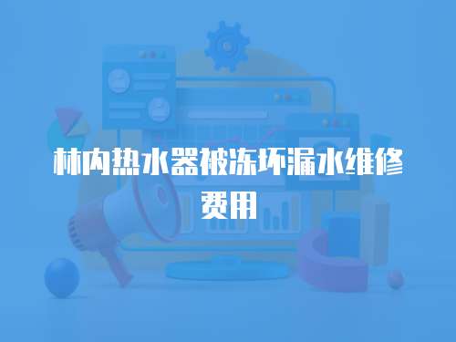 林內熱水器被凍壞漏水維修費用