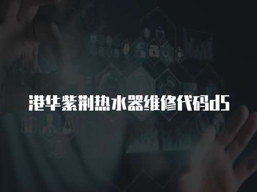 港華紫荊熱水器維修代碼d5