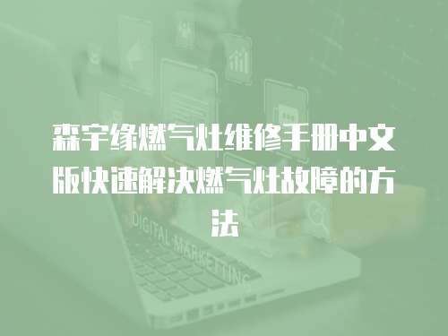 森宇緣燃?xì)庠罹S修手冊(cè)中文版快速解決燃?xì)庠罟收系姆椒? class=