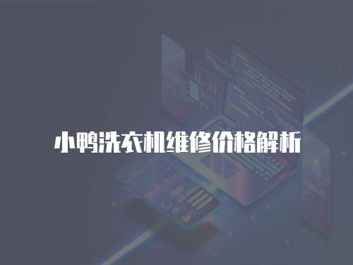 小鴨洗衣機維修價格解析