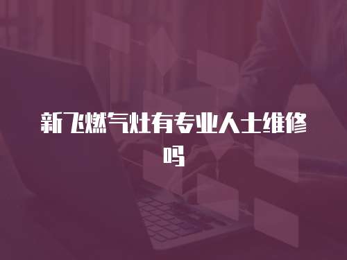 新飛燃氣灶有專業人士維修嗎