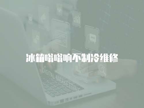 冰箱嗡嗡響不制冷維修