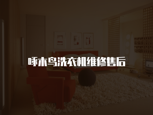 啄木鳥洗衣機維修售后