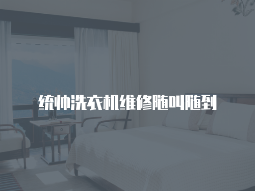 統帥洗衣機維修隨叫隨到