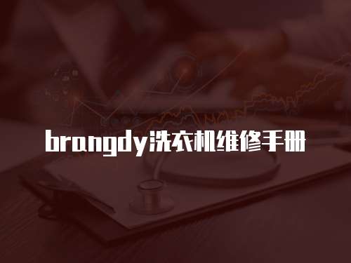 brangdy洗衣機(jī)維修手冊