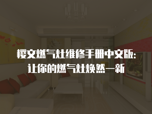 櫻文燃氣灶維修手冊中文版：讓你的燃氣灶煥然一新