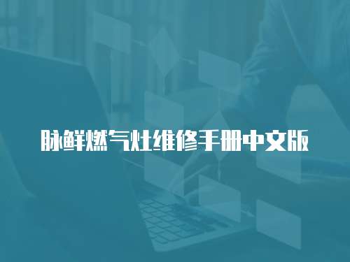 脈鮮燃氣灶維修手冊中文版